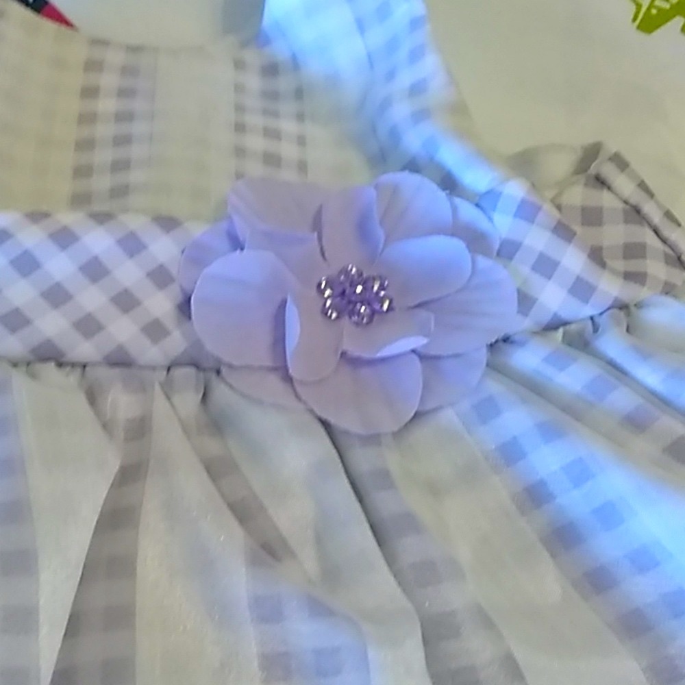 Adorable la Princess lavender checks white dress